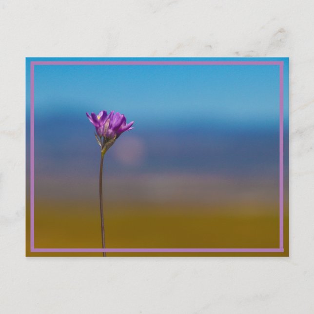 winzige Blume Postkarte (Vorderseite)