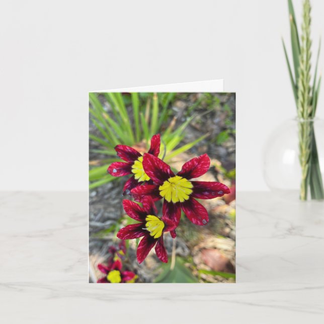 Winzige Blüten Dankeskarte (Vorderseite)