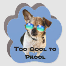 Winzige Pfauen-Heiligtum: Chico zu Cool zu Drool