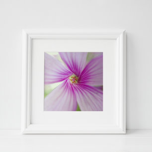 Winzige rosa Blume Fotodruck