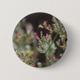 Winzige rosa Wildblumen Coachella Valley Wildlife Button