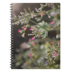 Winzige rosa Wildblumen Coachella Valley Wildlife Notizblock