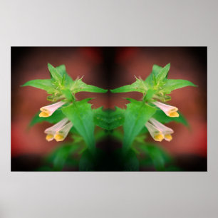 Winzige weiße Wildblume Nah-Up Mirror Abstrakt Poster