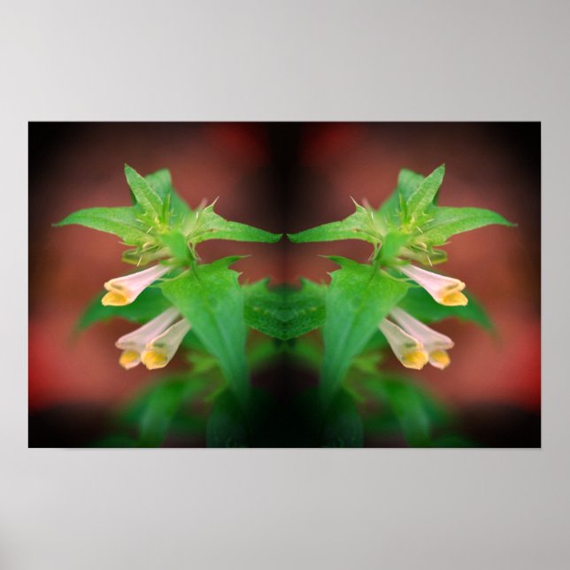 Winzige weiße Wildblume Nah-Up Mirror Abstrakt Poster (Vorne)
