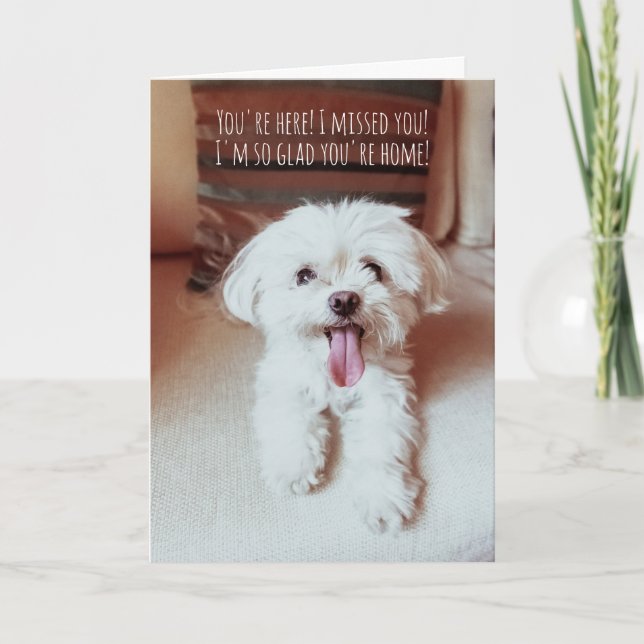 Winziger, flauschiger Hund glücklich, dich zu sehe Karte (Vorderseite)