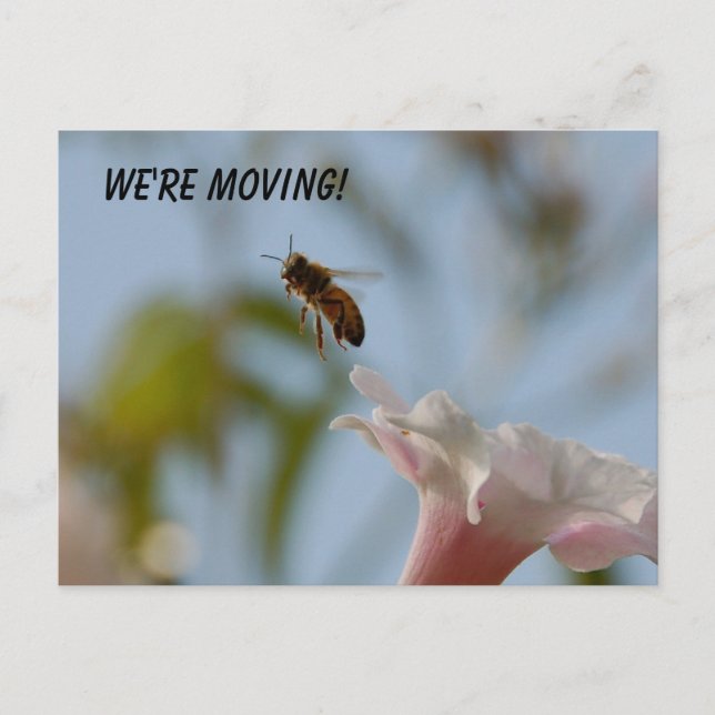 Wir bewegen die Postkarte (Vorderseite)