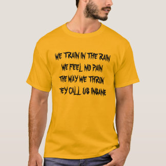 WIR BILDEN RAINWE IN FÜHLEN KEINE PAINTHE WEISE T-Shirt