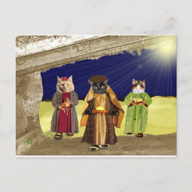 Wir drei Katzen Postkarte (Vorderseite)