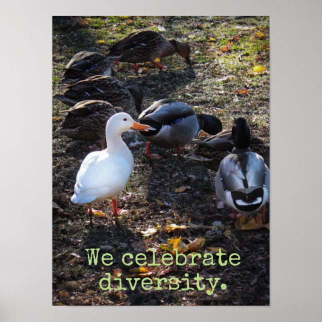 Wir feiern Diversity Poster Print (Vorne)