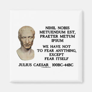 Wir haben, alles, ausgenommen Furcht selbst nicht Magnet