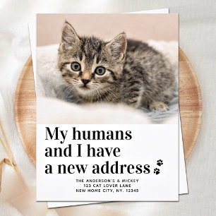 Wir haben das Foto "Cat Moving" für die Adresse ve Ankündigungspostkarte