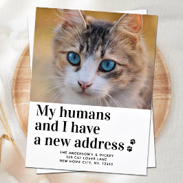 Wir haben das Foto "Cat Moving" für die Adresse ve Postkarte