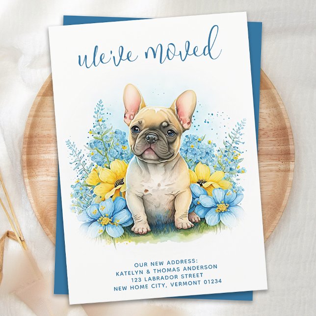 Wir haben den französischen Bulldog-Welpenhund bew Ankündigung (Von Creator hochgeladen)