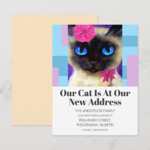 Wir haben den neuen Text der Niedlichen Katze vers Ankündigung
