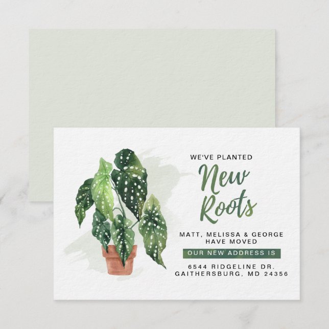 Wir haben die Ankündigung "New Roots Moving" gepla (Vorne/Hinten)
