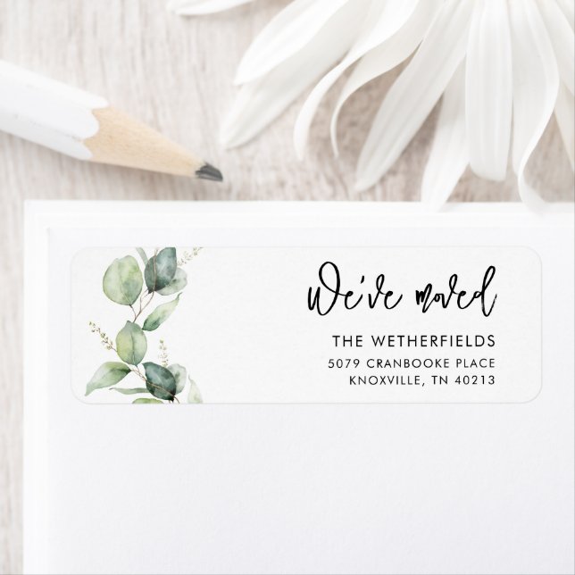 Wir haben die Eukalyptus-Rücksendeadresse verschob (Insitu)