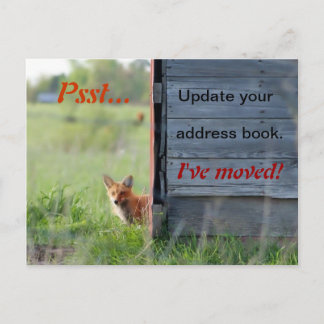 Wir haben die Postkarte verschoben (roter Fuchs in
