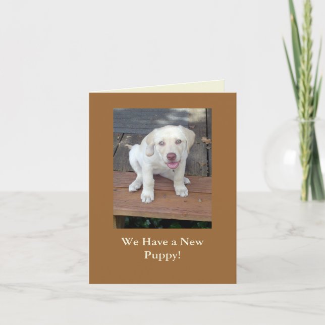 Wir haben eine neue kundengerechte ankündigung (Vorderseite)