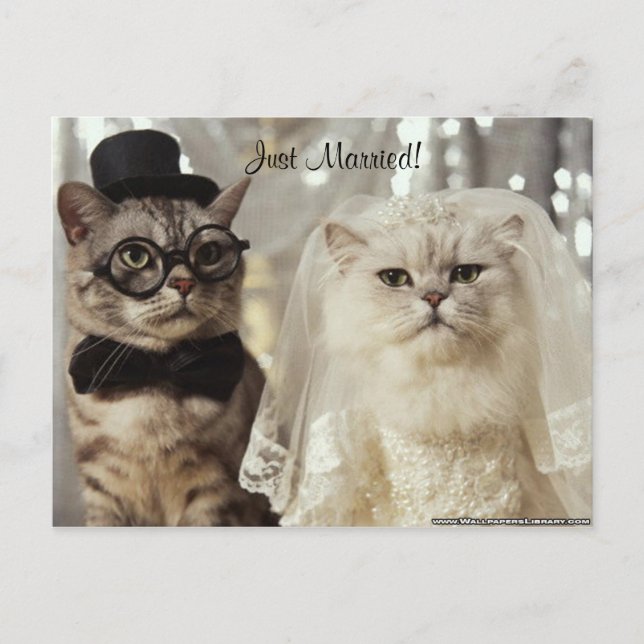 Wir haben es gerade getan! ankündigungspostkarte (Vorderseite)