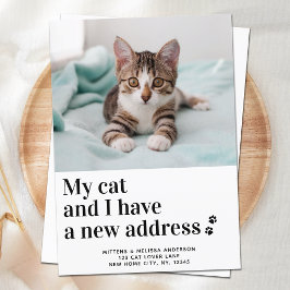 Wir haben meine Katze in das neue Foto "Adresse fü Ankündigung
