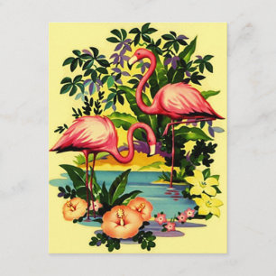 Wir haben mich haben bewegt Mitteilungs-Flamingos Ankündigung