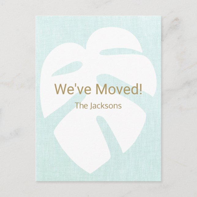 Wir haben Monstera Tropical Leaf bewegt Postkarte (Vorderseite)