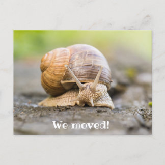 Wir haben Postkarte mit Schnecke umgezogen