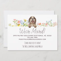 Wir haben uns bewegt! Beagle Welpenfloral