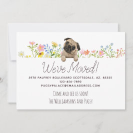 Wir haben uns bewegt! Mops und Blume Neue Adresse Ankündigung