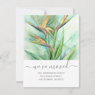 Wir haben Vögel von Paradies Blumenschrift verscho Ankündigung