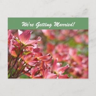 Wir heiraten! Postkarten Save the Date