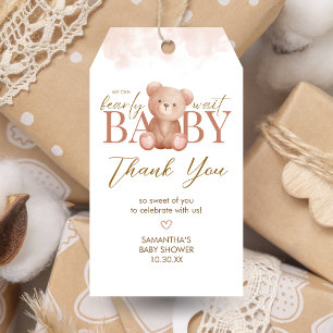 Wir können frühzeitig abwarten Baby Dusche Federn  Geschenkanhänger