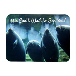 Wir können nicht warten, dich zu sehen! Manatees Magnet