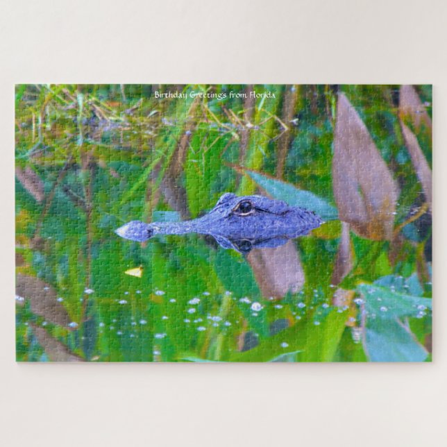 Wir Liebe Aligatoren in Florida Jigsaw Puzzle (Horizontal)