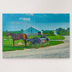 Wir Liebe Amish Carraiges in Iowa.