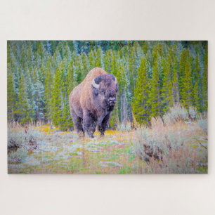 Wir Liebe Bison in Wyoming Jigsaw Puzzle