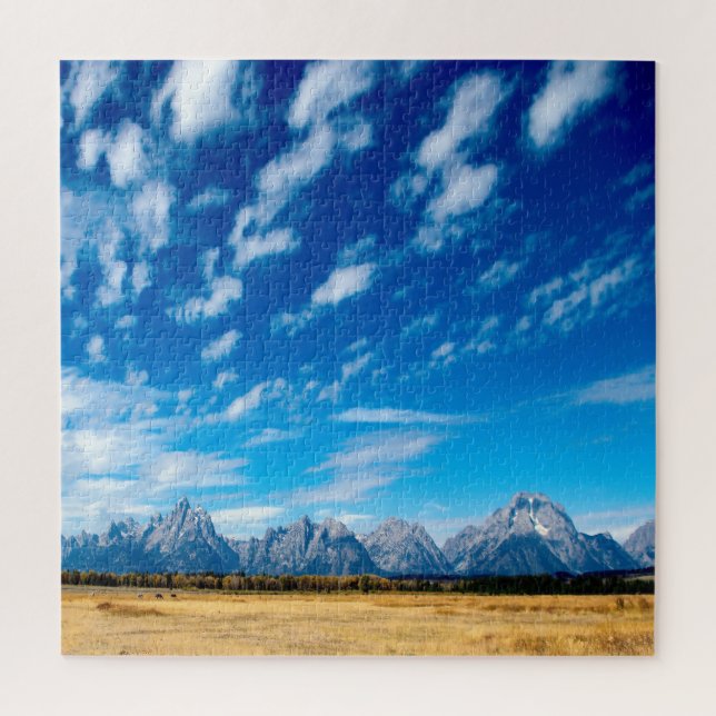 Wir Liebe des Grand Teton Nationalparks Wyoming. (Vertikal)