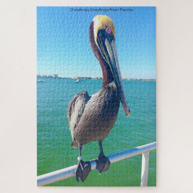 Wir Liebe Pelikane in Florida Jigsaw Puzzle (Vertikal)