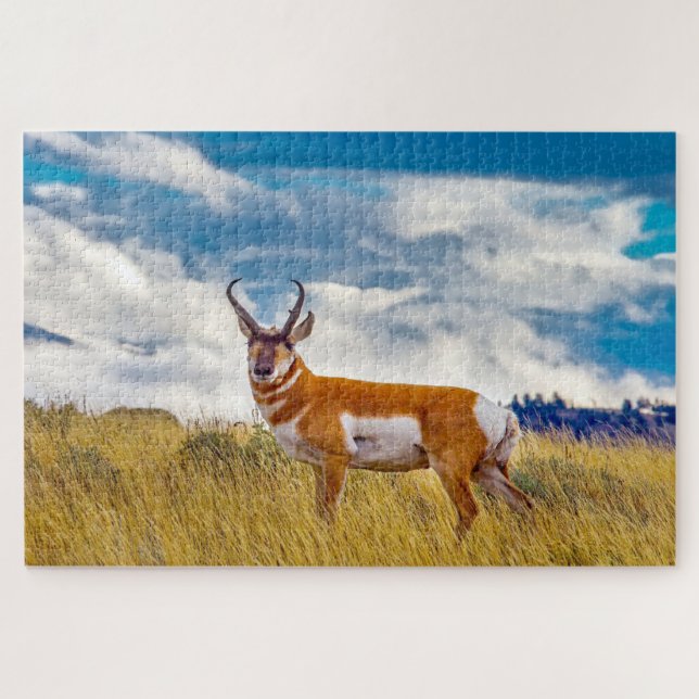 Wir Liebe Prong Horn Deer Wyoming (Horizontal)
