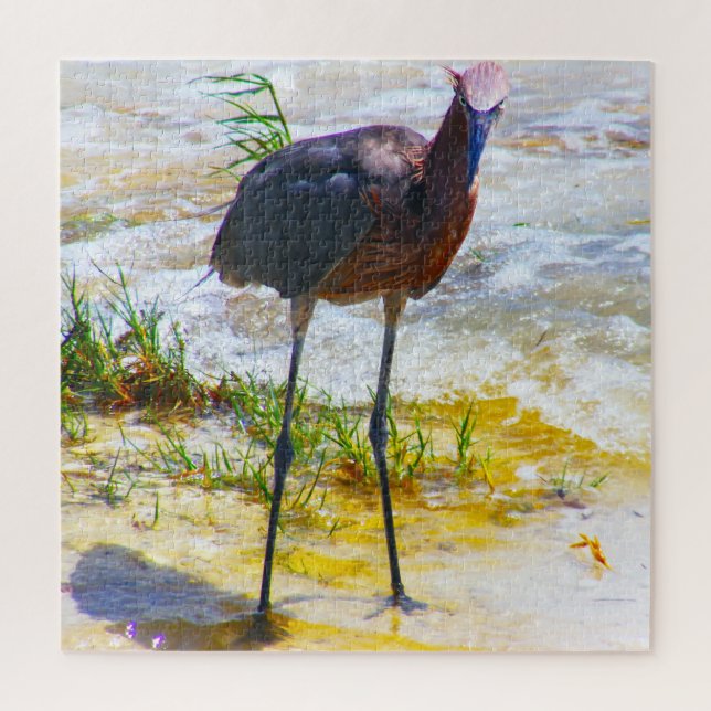 Wir Liebe Sanibel's in Florida (Vertikal)