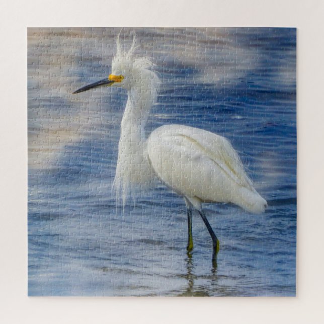 Wir Liebe Snowy Egrets in Florida (Vertikal)