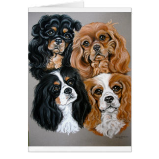 Wir Liebe unsere Cavies