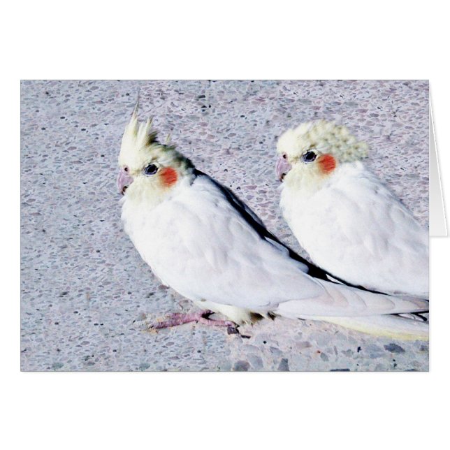 Wir Liebe You.JPG (Vorderseite (Horizontal))