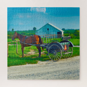 Wir lieben Amish Carraiges in Iowa.