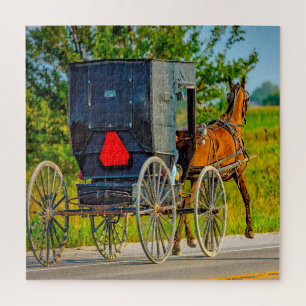 Wir lieben Amish-Kutschen in Iowa.