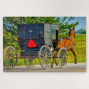 Wir lieben Amish-Kutschen in Iowa.
