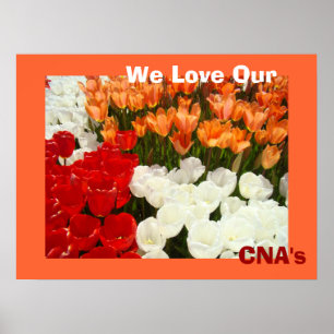 Wir lieben unsere CNA-Plakate Orange Tulpenblumen Poster