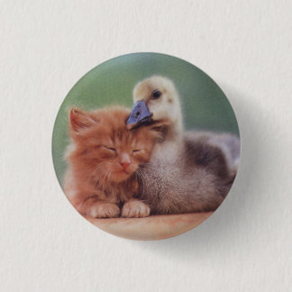 Wir mag man sich! button