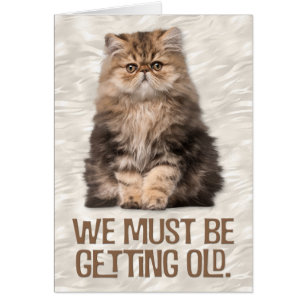 "Wir müssen alt werden" Cat-Lover's Geburtstag