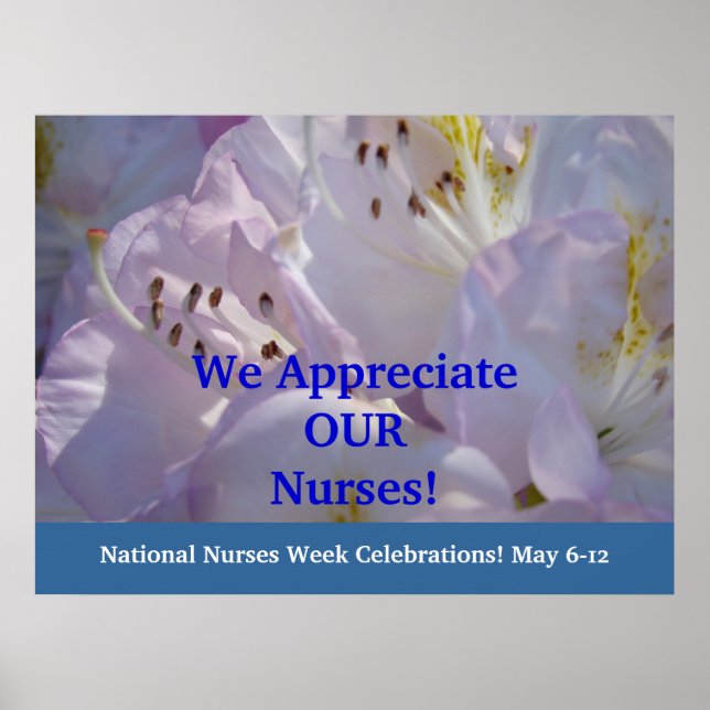 Wir schätzen unsere Krankenschwestern! Poster Nurs (Vorne)